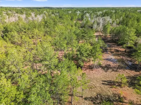 0 A0186 - Dease Conley, Tract 15, Acres 20 Conroe TX 77303