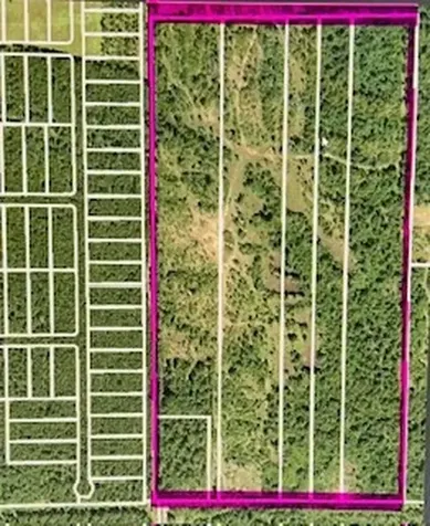 0 A0186 - Dease Conley, Tract 15, Acres 20 Conroe TX 77303