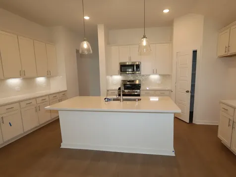 22559 Pagoda Dogwood Branch Drive New Caney TX 77357