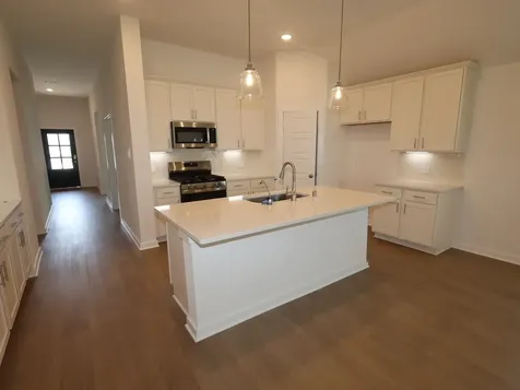22559 Pagoda Dogwood Branch Drive New Caney TX 77357