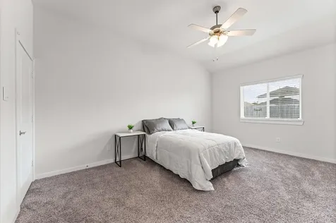 21431 Indigo Ruth Drive Spring TX 77379
