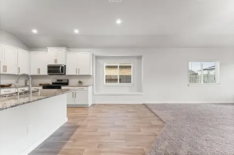 21431 Indigo Ruth Drive Spring TX 77379