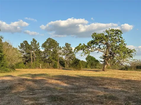 Tbd County Road 408 Navasota TX 77868