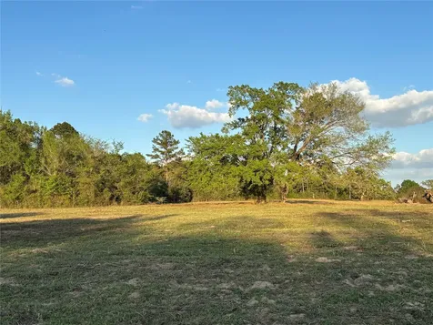 Tbd County Road 408 Navasota TX 77868