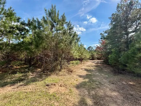 Tbd County Road 408 Navasota TX 77868