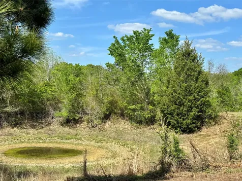 Tbd County Road 408 Navasota TX 77868