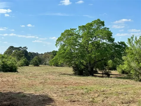 Tbd County Road 408 Navasota TX 77868