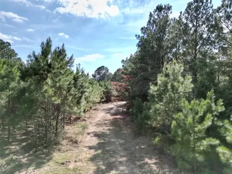 Tbd County Road 408 Navasota TX 77868