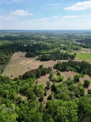 Tbd County Road 408 Navasota TX 77868