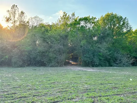 Tbd County Road 408 Navasota TX 77868