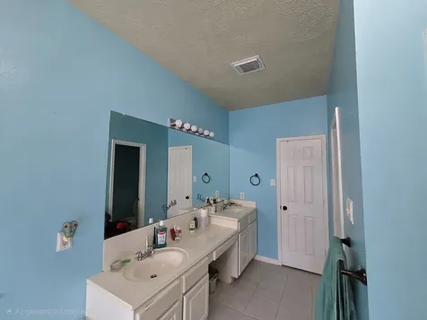 831 Hannock Glen Lane Spring TX 77373