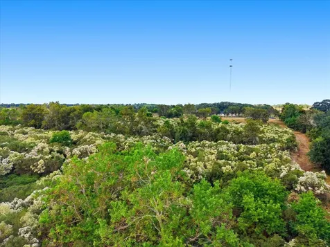 Lot 8 Cow Creek Road Damon TX 77430