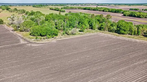 000 Fm 1462 Road Damon TX 77430