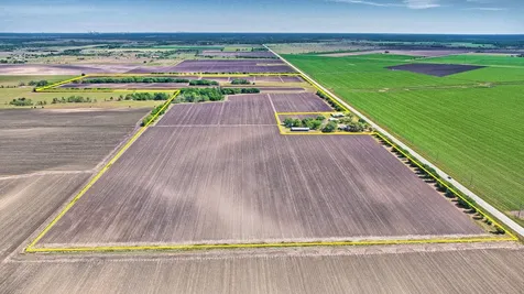 000 Fm 1462 Road Damon TX 77430