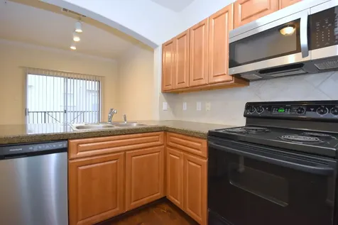 12707 Boheme Drive 1305 Houston TX 77024