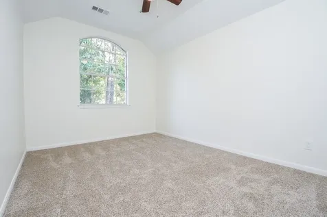 134 Magnolia Pond Place The Woodlands TX 77381