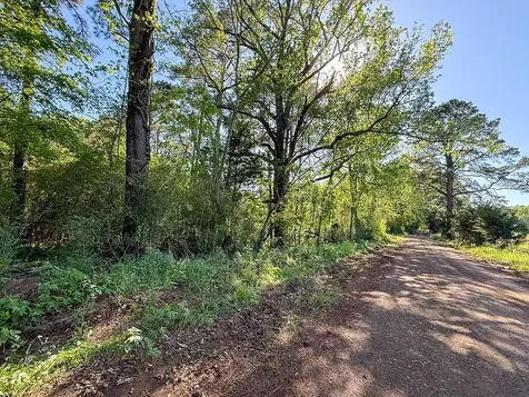 Tbd Flat Road Milam TX 75930
