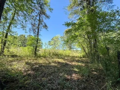 Tbd Flat Road Milam TX 75930