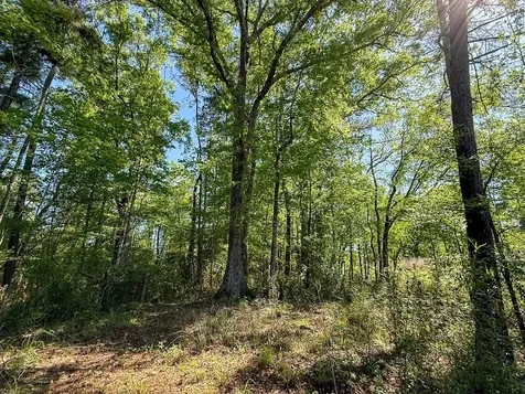 Tbd Flat Road Milam TX 75930