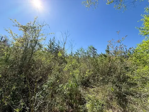 Tbd Flat Road Milam TX 75930