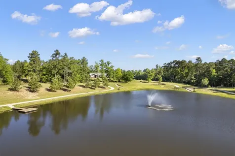 7741 Dog Wood Acres Drive Montgomery TX 77316