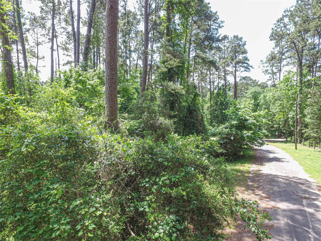 Tbd Grand Pine Road Livingston TX 77351