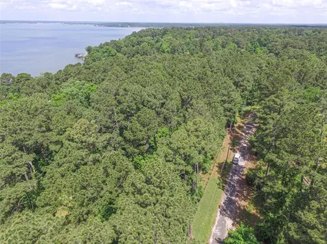 Tbd Grand Pine Road Livingston TX 77351