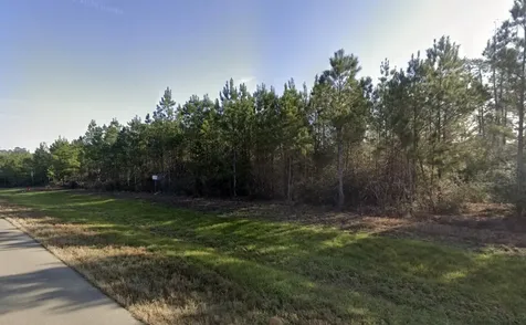 15988 Wood Grove Way Willis TX 77378