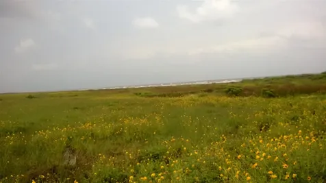 Trail 47 San Luis Pass Road Galveston TX 77554