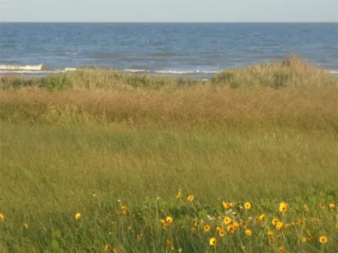 Trail 47 San Luis Pass Road Galveston TX 77554