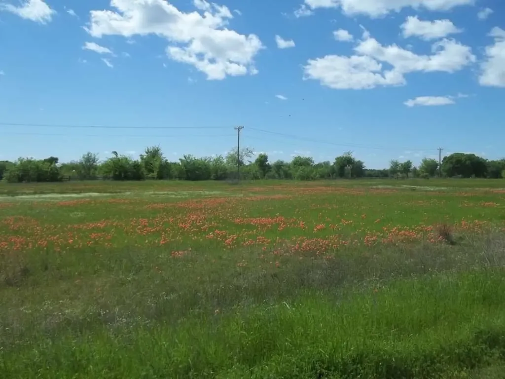 0 Lot 49 Fox Hollow Road Lone Oak TX 75453