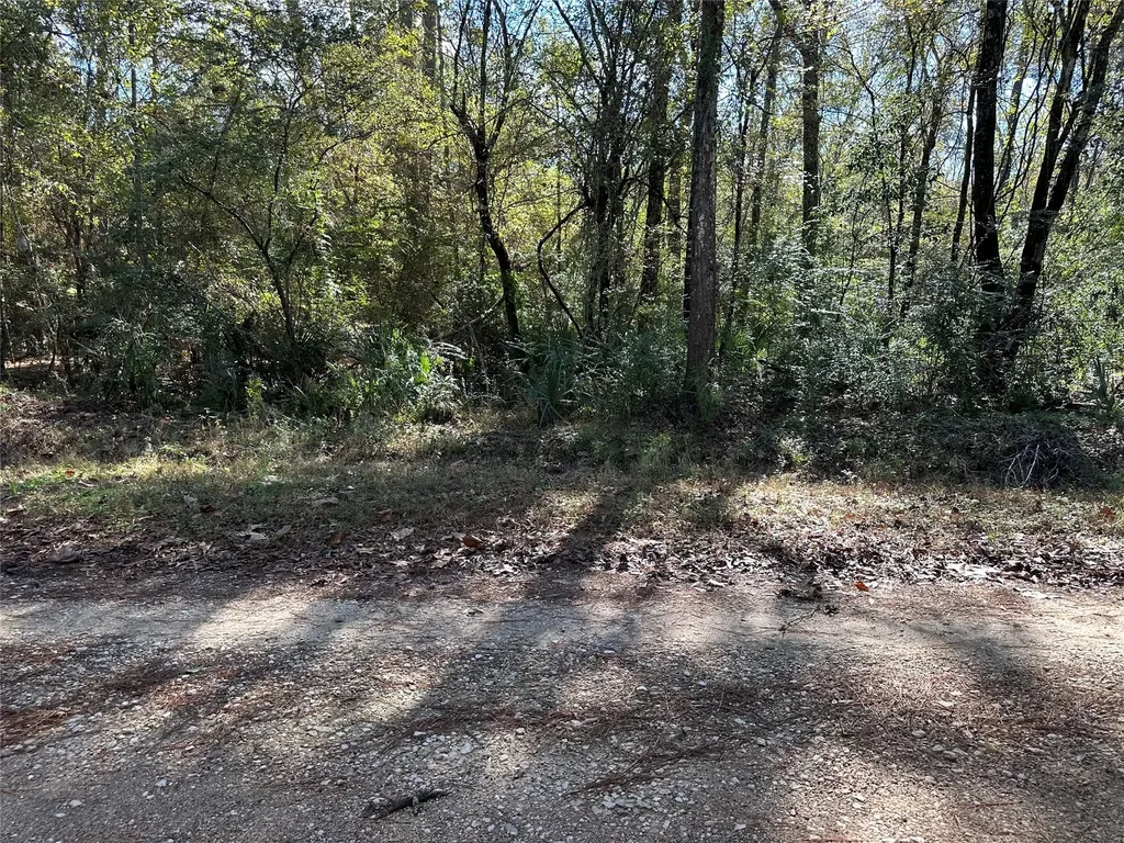 0 County Road 3612 Cleveland TX 77372