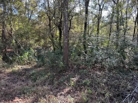 0 County Road 3612 Cleveland TX 77372