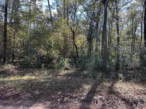 0 County Road 3612 Cleveland TX 77372
