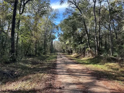 0 County Road 3612 Cleveland TX 77372