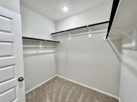 23223 Spring Genesis Lane Katy TX 77493