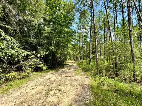 0 Slim Palmer Road Zavalla TX 75980