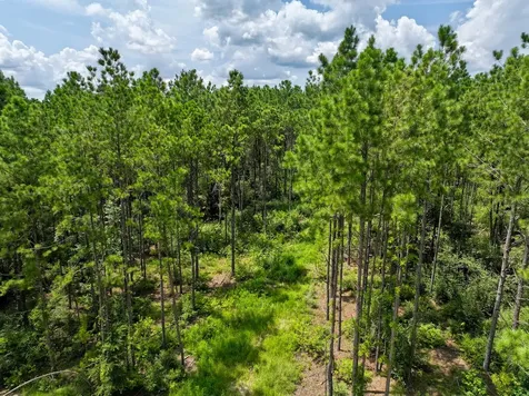 0 Slim Palmer Road Zavalla TX 75980
