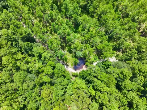 0 Slim Palmer Road Zavalla TX 75980