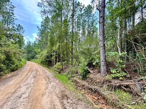 0 Slim Palmer Road Zavalla TX 75980