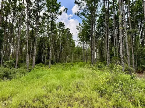 0 Slim Palmer Road Zavalla TX 75980
