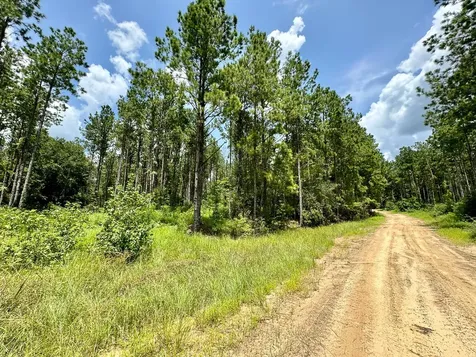 0 Slim Palmer Road Zavalla TX 75980