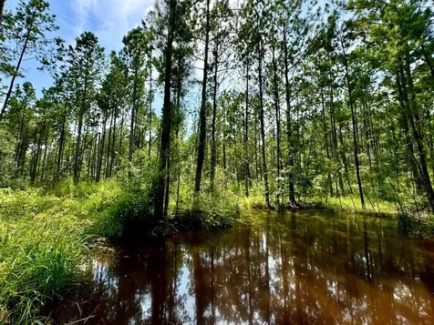 0 Slim Palmer Road Zavalla TX 75980