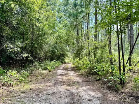 0 Slim Palmer Road Zavalla TX 75980