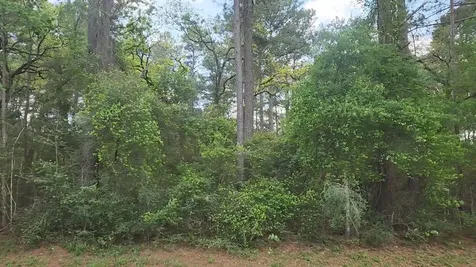 Lot 1 N Council Drive Hempstead TX 77445