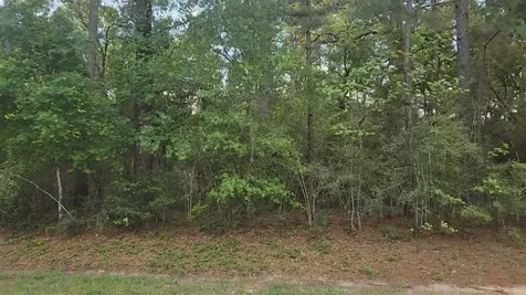 Lot 1 N Council Drive Hempstead TX 77445