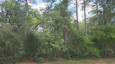 Lot 1 N Council Drive Hempstead TX 77445