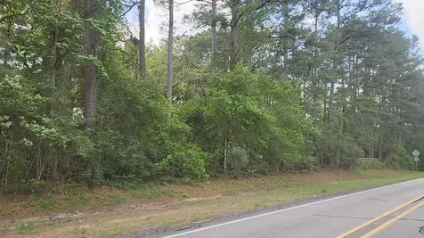 Lot 1 N Council Drive Hempstead TX 77445