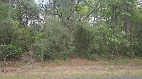 Lot 1 N Council Drive Hempstead TX 77445