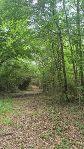 2016 County Road 1865 North Grapeland TX 75844